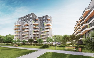 IV etap