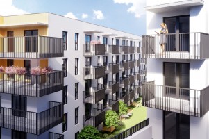 zdjęcie Piedmont 11