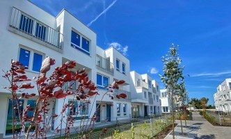 zdjęcie U City Residence I