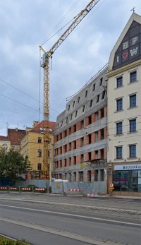 zdjęcie Kamienica Pod Złotym Lwem