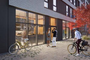 zdjęcie z budowy Fiqus Marcelin