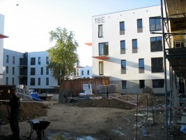 tomaszek_2008