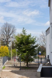 zdjęcie Osiedle Bystrzycka