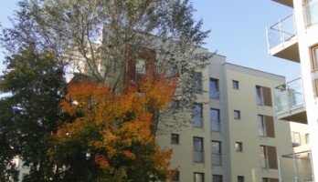 II etap