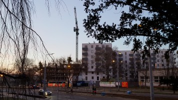 zdjęcie Królewskie Ogrody