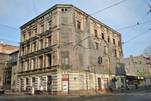 zdjęcie Zielona 23