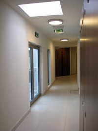 zdjęcie Willa Wego