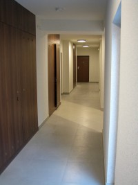 zdjęcie Willa Wego