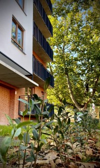 zdjęcie Sowińskiego 78