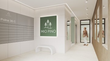 zdjęcie z budowy Mio Pino