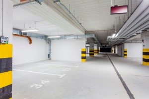 zdjęcie Zielona Klecina