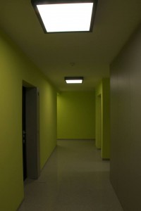 zdjęcie Wrzesińska 12