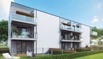 zdjęcie Wrzosowa Aleja