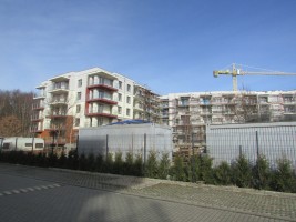 zdjęcie Polanki Park