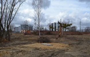 działka przed rozpoczęciem budowy