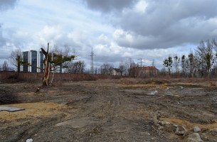 działka przed rozpoczęciem budowy
