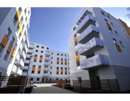 prace wykończeniowe wokół budynków