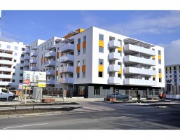 prace wykończeniowe wokół budynków