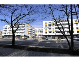 prace wykończeniowe wokół budynków