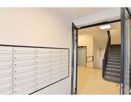 zdjęcie Orlińskiego 5