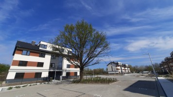 zdjęcie Polana Miłoszycka