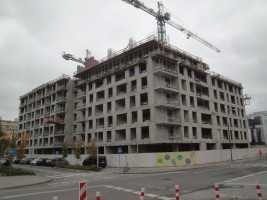 zdjęcie Dzielna 64