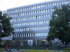 zdjęcie Zielona 8