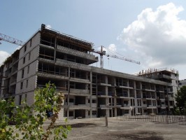 zdjęcie Kasztanowa Aleja