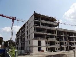 zdjęcie Kasztanowa Aleja