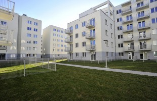II etap