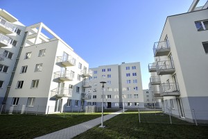 II etap