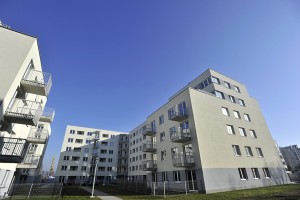 II etap