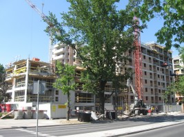 zdjęcie Na Sokratesa