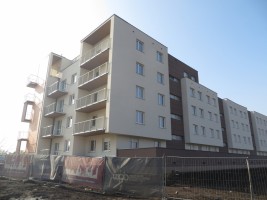 zdjęcie Jutrzenki