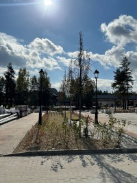 zdjęcie Designer Outlet Sosnowiec