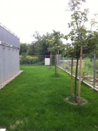 zdjęcie Wille Miejskie Ryżowa