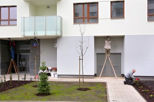 zdjęcie Capital Art Apartments