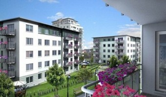 zdjęcie Wiszące Ogrody III