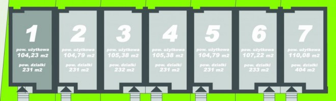 wizualizacje Skidelska