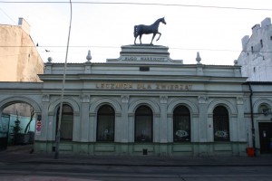 zdjęcie Lecznica Dla Zwierząt Pod Koniem