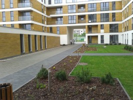 zdjęcie Witosa Apartments
