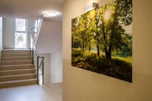 zdjęcie Majerka Park - Apartamenty Na Zdrowiu