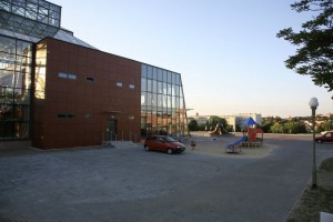 zdjęcie Palmiarnia