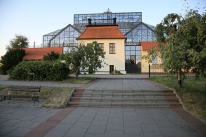 zdjęcie Palmiarnia