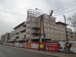 zdjęcie Aluzyjna 17