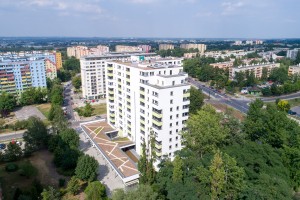 zdjęcie Teligi 3