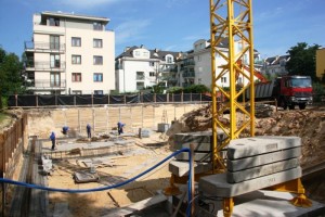 zdjęcie Białowieska 7/9