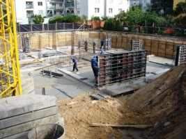 zdjęcie Białowieska 7/9