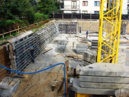 zdjęcie Białowieska 7/9