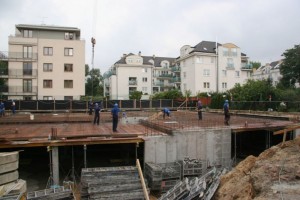 zdjęcie Białowieska 7/9